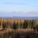 IMG_2558